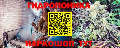 альфа пвп Пушкино