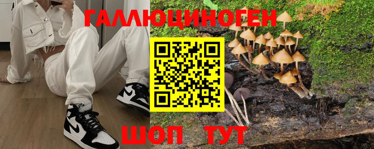 Псилоцибиновые грибы Cubensis  Вход с VPN  наркота  Галлюциногенные грибы GOLDEN TEACHER  Санкт-Петербург 